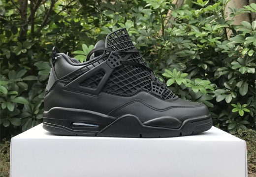 Air Jordan 4 FV7251-001 36-47.5